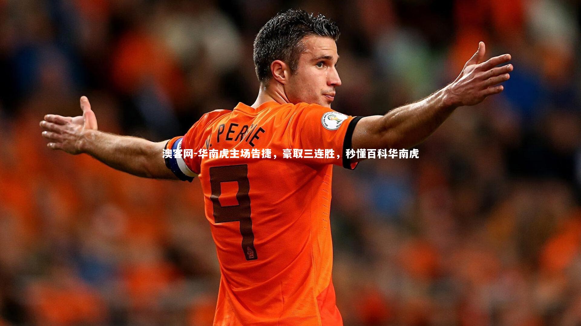 华南虎主场告捷，豪取三连胜，秒懂百科华南虎